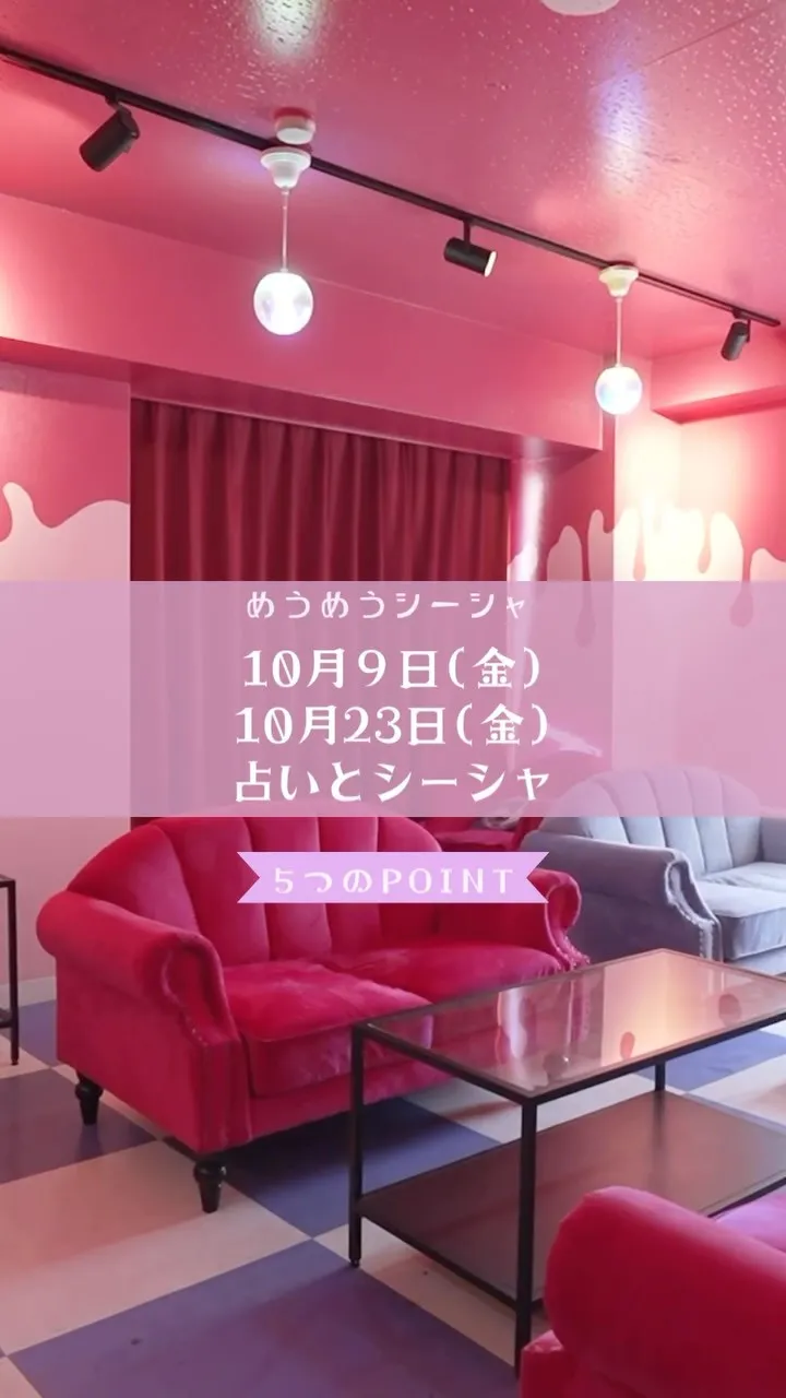 タロット占い×シーシャ🦄💭